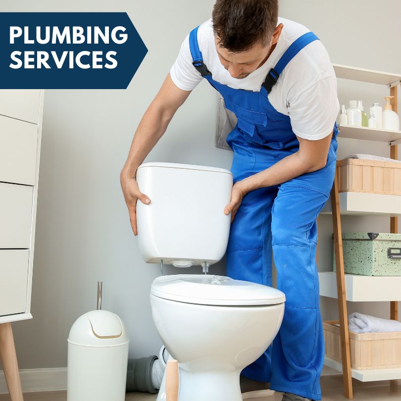 Plumbing Company in Woodlawn, IL